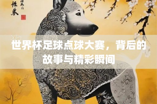 世界杯足球点球大赛，背后的故事与精彩瞬间