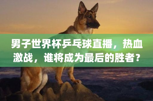 男子世界杯乒乓球直播，热血激战，谁将成为最后的胜者？