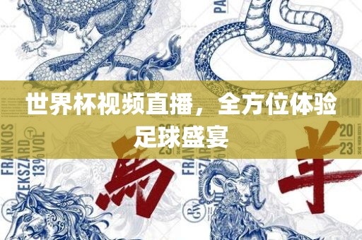 世界杯视频直播，全方位体验足球盛宴