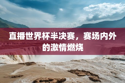 直播世界杯半决赛,赛场内外的激情燃烧