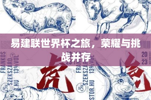 易建联世界杯之旅，荣耀与挑战并存