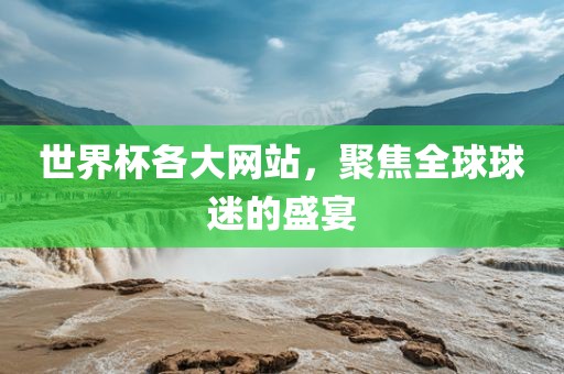 世界杯各大网站，聚焦全球球迷的盛宴