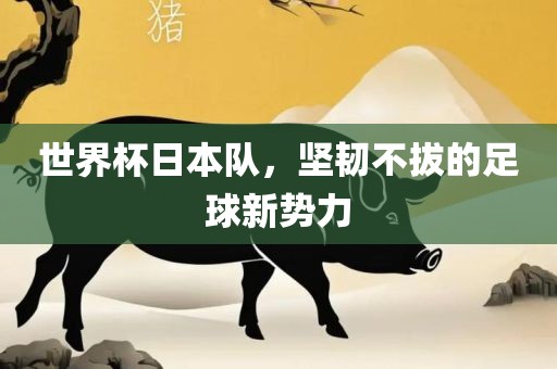 世界杯日本队，坚韧不拔的足球新势力