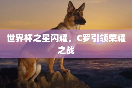 世界杯之星闪耀，C罗引领荣耀之战