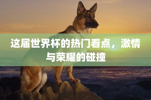 这届世界杯的热门看点，激情与荣耀的碰撞