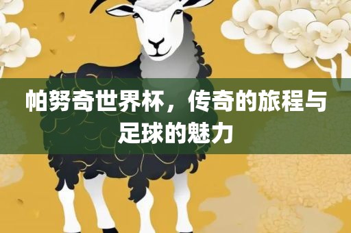 帕努奇世界杯，传奇的旅程与足球的魅力