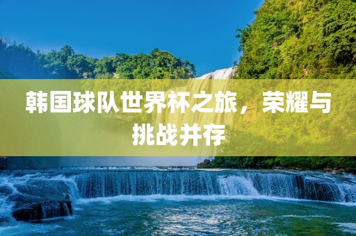 韩国球队世界杯之旅，荣耀与挑战并存