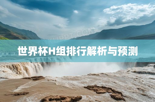 世界杯H组排行解析与预测