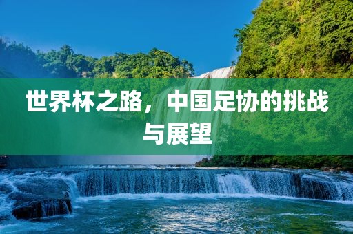 世界杯之路，中国足协的挑战与展望