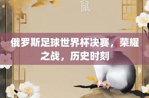 俄罗斯足球世界杯决赛，荣耀之战，历史时刻