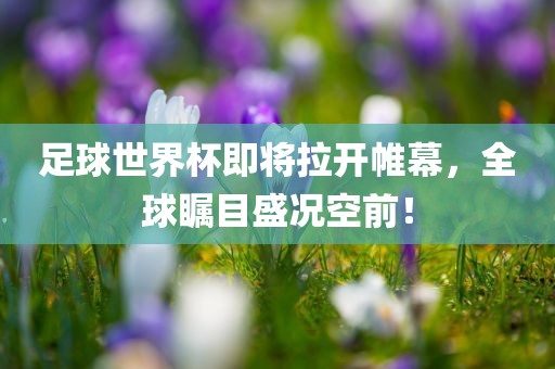足球世界杯即将拉开帷幕，全球瞩目盛况空前！