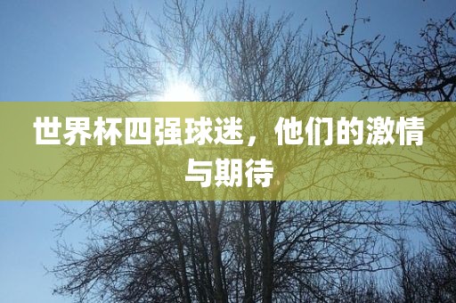 世界杯四强球迷，他们的激情与期待