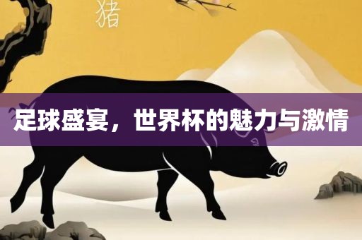 足球盛宴，世界杯的魅力与激情