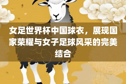 女足世界杯中国球衣，展现国家荣耀与女子足球风采的完美结合