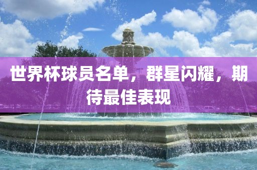 世界杯球员名单，群星闪耀，期待最佳表现