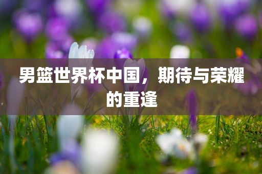 男篮世界杯中国，期待与荣耀的重逢