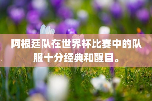 阿根廷队在世界杯比赛中的队服十分经典和醒目。