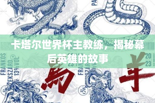 卡塔尔世界杯主教练，揭秘幕后英雄的故事