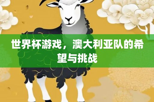 世界杯游戏，澳大利亚队的希望与挑战