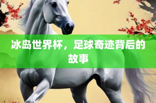 冰岛世界杯，足球奇迹背后的故事