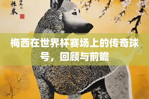 梅西在世界杯赛场上的传奇球号，回顾与前瞻