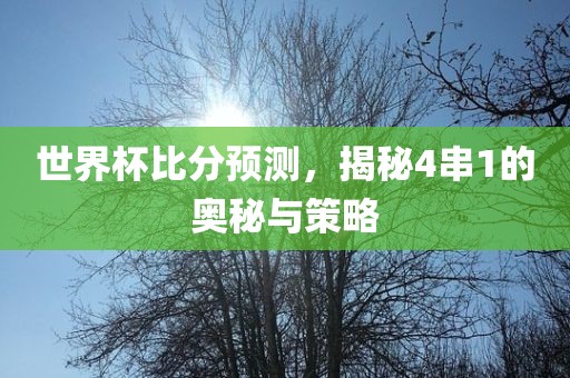 世界杯比分预测，揭秘4串1的奥秘与策略