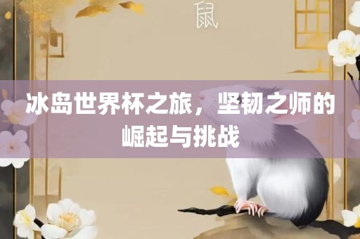 冰岛世界杯之旅，坚韧之师的崛起与挑战