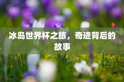 冰岛世界杯之旅，奇迹背后的故事