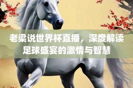 老梁说世界杯直播，深度解读足球盛宴的激情与智慧