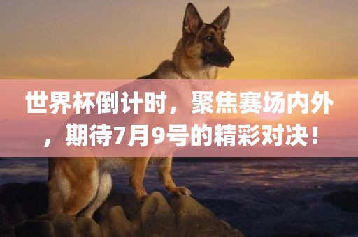 世界杯倒计时，聚焦赛场内外，期待7月9号的精彩对决！