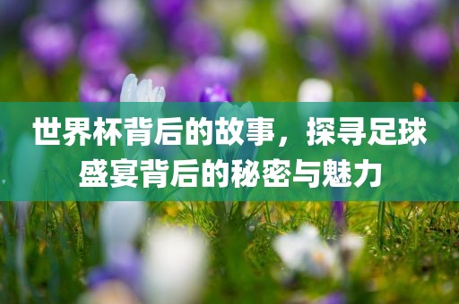 世界杯背后的故事,探寻足球盛宴背后的秘密与魅力