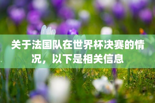 关于法国队在世界杯决赛的情况，以下是相关信息