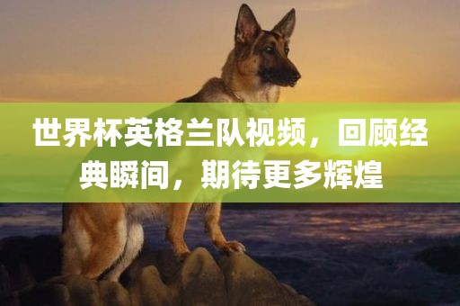 世界杯英格兰队视频，回顾经典瞬间，期待更多辉煌