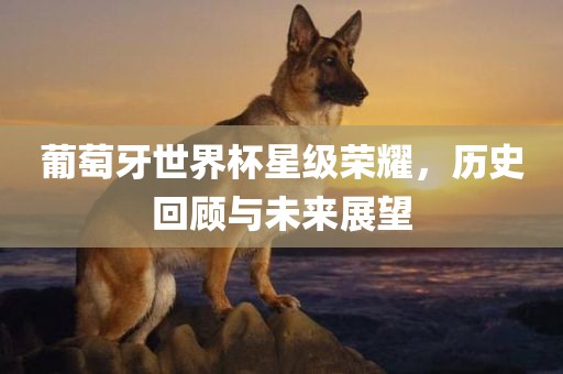 葡萄牙世界杯星级荣耀，历史回顾与未来展望