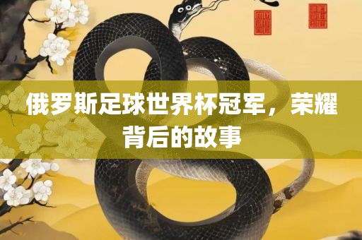 俄罗斯足球世界杯冠军，荣耀背后的故事