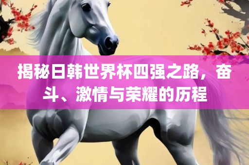揭秘日韩世界杯四强之路，奋斗、激情与荣耀的历程