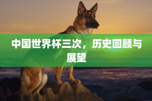 中国世界杯三次，历史回顾与展望