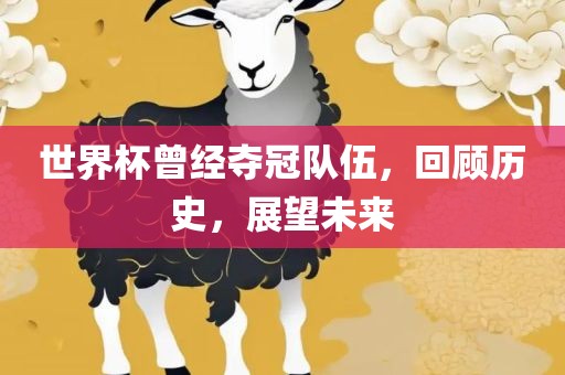世界杯曾经夺冠队伍，回顾历史，展望未来