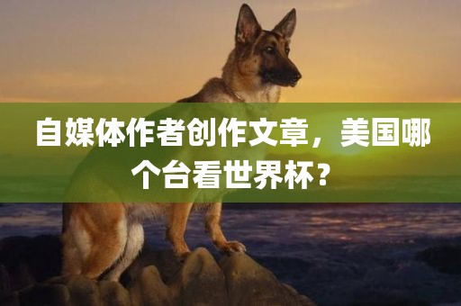 自媒体作者创作文章，美国哪个台看世界杯？