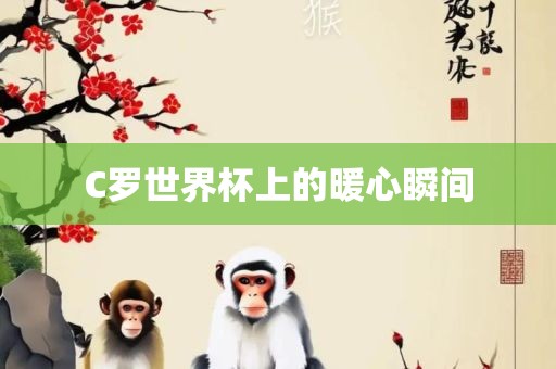 C罗世界杯上的暖心瞬间