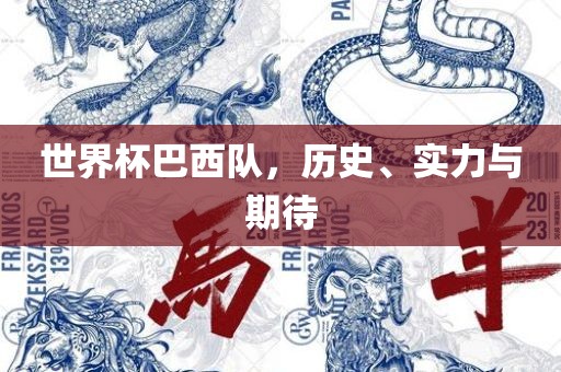 世界杯巴西队，历史、实力与期待