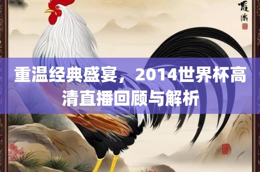 重温经典盛宴，2014世界杯高清直播回顾与解析