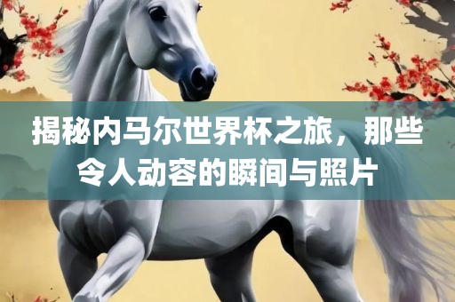 揭秘内马尔世界杯之旅，那些令人动容的瞬间与照片