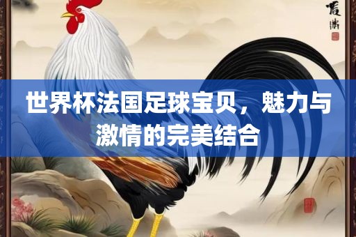 世界杯法国足球宝贝，魅力与激情的完美结合