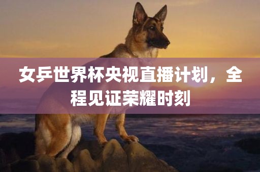 女乒世界杯央视直播计划，全程见证荣耀时刻