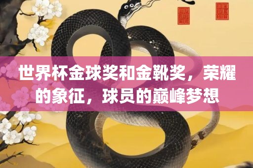 世界杯金球奖和金靴奖，荣耀的象征，球员的巅峰梦想