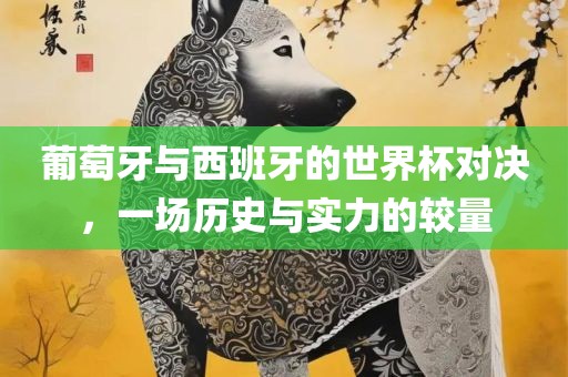 葡萄牙与西班牙的世界杯对决,一场历史与实力的较量