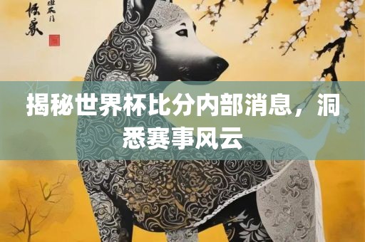 揭秘世界杯比分内部消息，洞悉赛事风云
