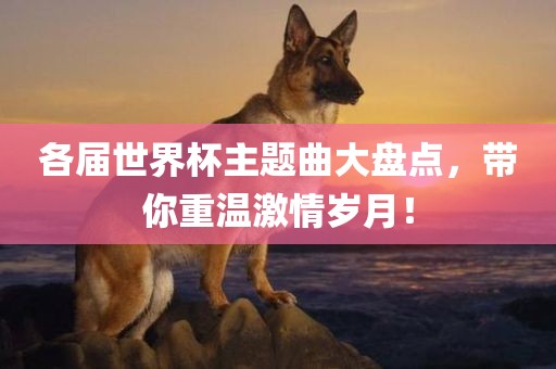 各届世界杯主题曲大盘点，带你重温激情岁月！