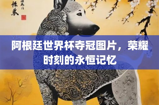 阿根廷世界杯夺冠图片，荣耀时刻的永恒记忆